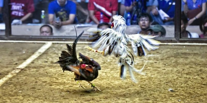 debet bet ﻿đăng nhập lô đề uy tín