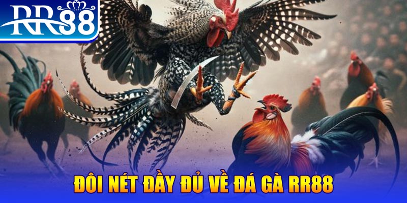debet bet gà chọi hoà phong