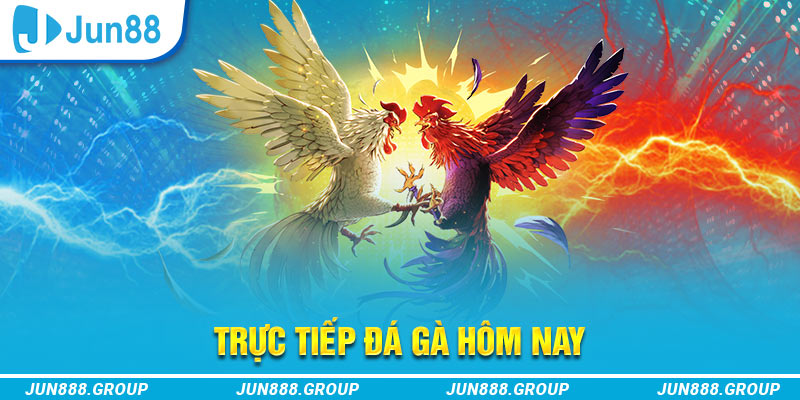 debet bet trực tiếp đá gà thomo
