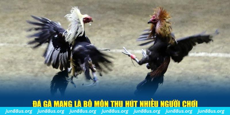 debet bet xổ số long an