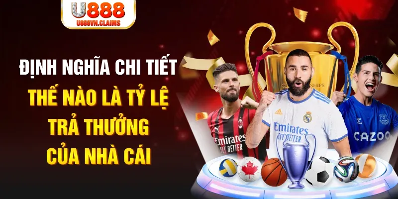 debet bet đá gà thomo