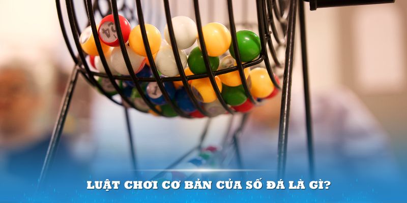 debet bet Đĩa màu ace