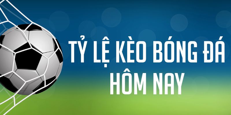 debet bet ÁT CHỦ MÁY HOA QUẢ THẦN TÀI