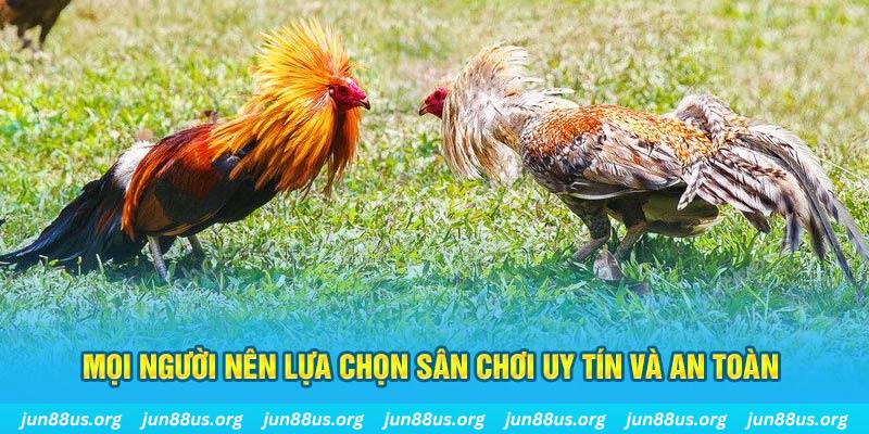 debet bet Tài Xỉu