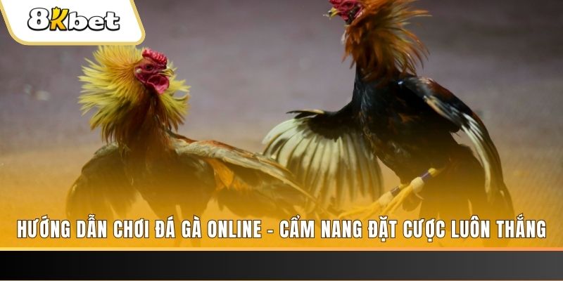 debet bet tai game danh bai bigkool ve may tinh