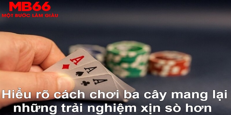 debet bet DB Trực Tuyến