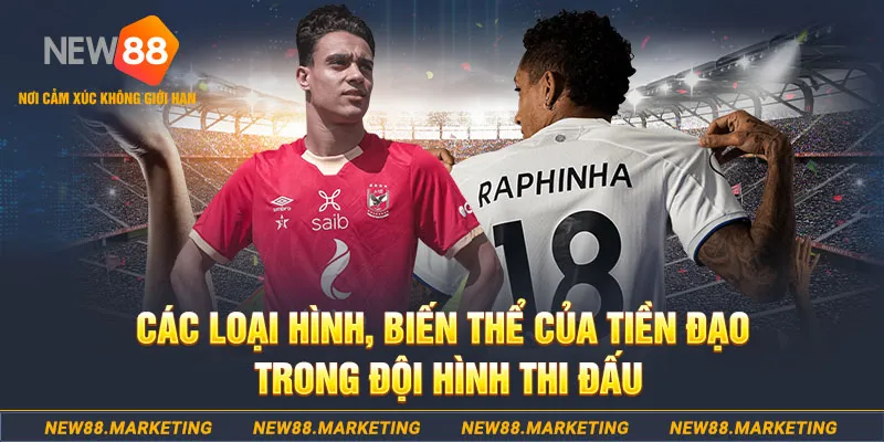 debet bet bao nhiêu điểm nổ hũ 8 bit