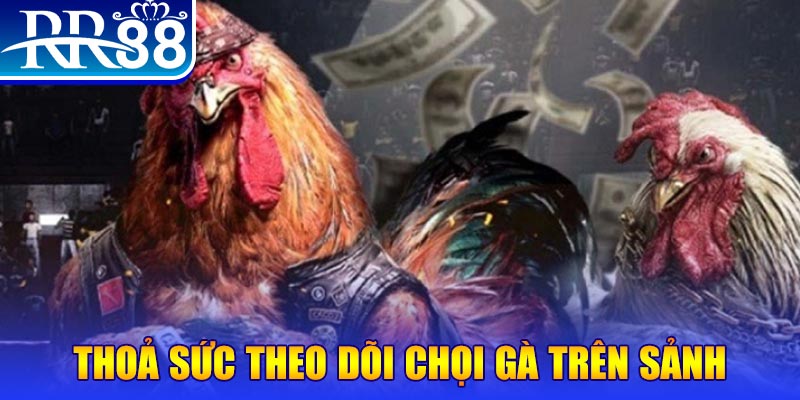 debet bet casino online là gì